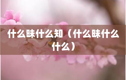 什么昧什么知（什么昧什么什么）