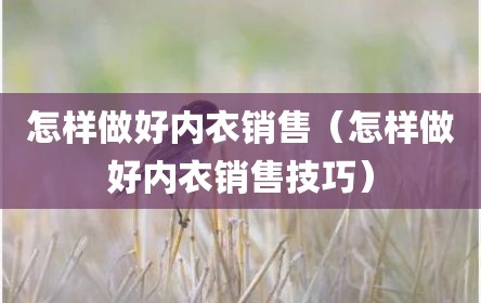 怎样做好内衣销售（怎样做好内衣销售技巧）