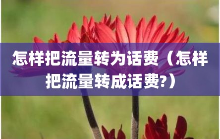 怎样把流量转为话费（怎样把流量转成话费?）