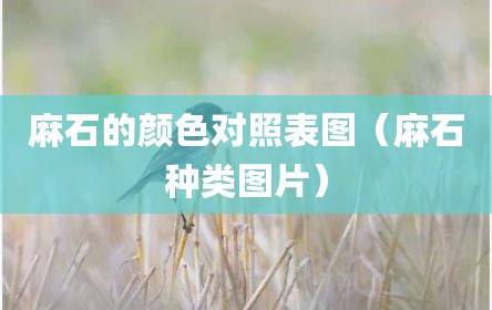 麻石的颜色对照表图（麻石种类图片）