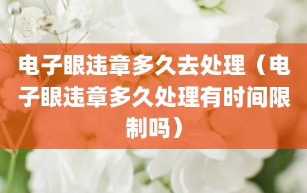 电子眼违章多久去处理（电子眼违章多久处理有时间限制吗）