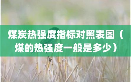 煤炭热强度指标对照表图（煤的热强度一般是多少）