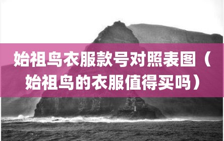 始祖鸟衣服款号对照表图（始祖鸟的衣服值得买吗）