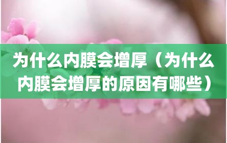为什么内膜会增厚（为什么内膜会增厚的原因有哪些）