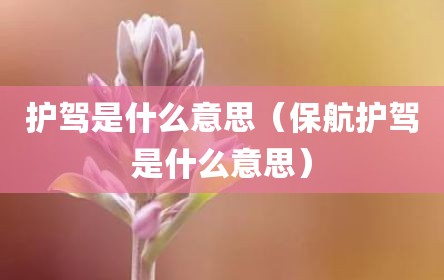 护驾是什么意思（保航护驾是什么意思）