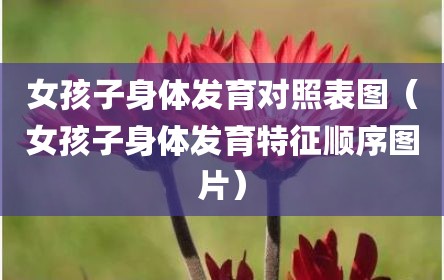 女孩子身体发育对照表图（女孩子身体发育特征顺序图片）