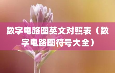 数字电路图英文对照表（数字电路图符号大全）