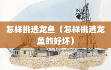怎样挑选龙鱼（怎样挑选龙鱼的好坏）