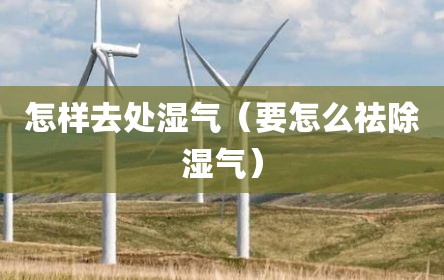 怎样去处湿气（要怎么祛除湿气）