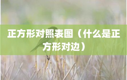 正方形对照表图（什么是正方形对边）