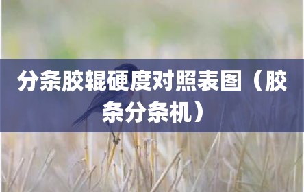 分条胶辊硬度对照表图（胶条分条机）