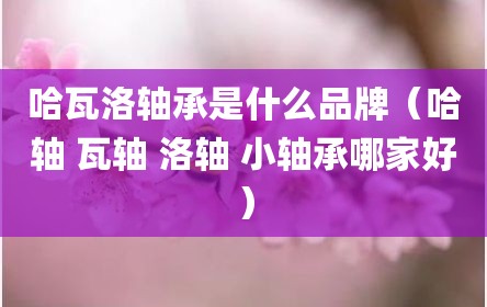 哈瓦洛轴承是什么品牌（哈轴 瓦轴 洛轴 小轴承哪家好）