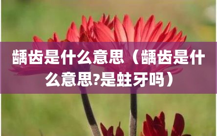 龋齿是什么意思（龋齿是什么意思?是蛀牙吗）
