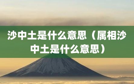 沙中土是什么意思（属相沙中土是什么意思）