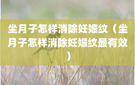 坐月子怎样消除妊娠纹（坐月子怎样消除妊娠纹最有效）