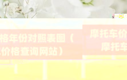摩托车价格年份对照表图（摩托车价格查询网站）