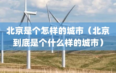 北京是个怎样的城市（北京到底是个什么样的城市）