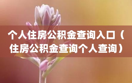 个人住房公积金查询入口（住房公积金查询个人查询）