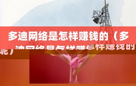 多迪网络是怎样赚钱的（多迪网络是怎样赚钱的呢）