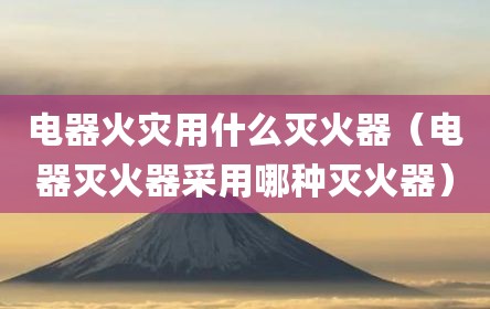 电器火灾用什么灭火器（电器灭火器采用哪种灭火器）