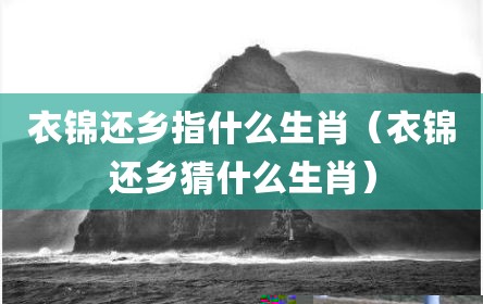 衣锦还乡指什么生肖（衣锦还乡猜什么生肖）