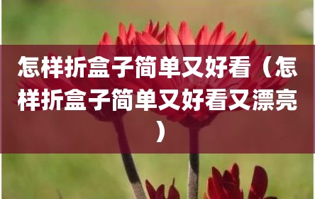 怎样折盒子简单又好看（怎样折盒子简单又好看又漂亮）