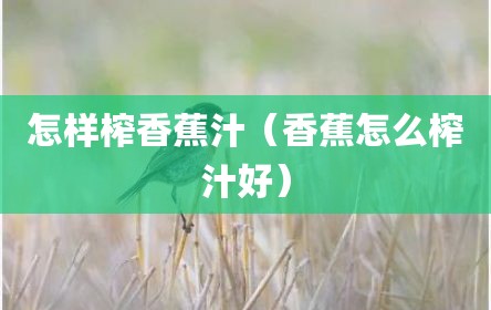 怎样榨香蕉汁（香蕉怎么榨汁好）