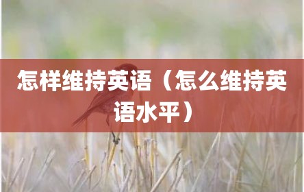 怎样维持英语（怎么维持英语水平）