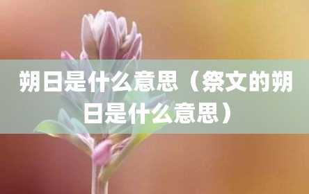 朔日是什么意思（祭文的朔日是什么意思）