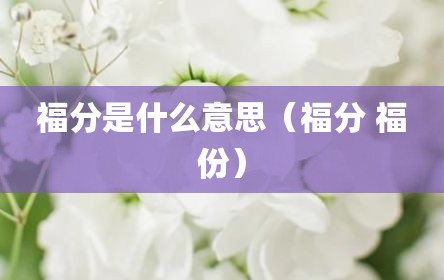 福分是什么意思（福分 福份）