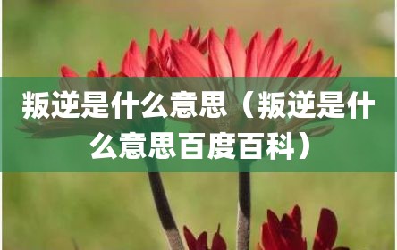 叛逆是什么意思（叛逆是什么意思百度百科）
