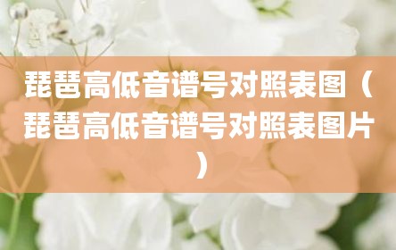 琵琶高低音谱号对照表图（琵琶高低音谱号对照表图片）