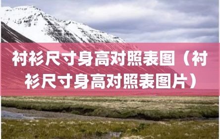 衬衫尺寸身高对照表图（衬衫尺寸身高对照表图片）