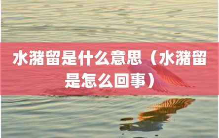 水潴留是什么意思（水潴留是怎么回事）