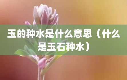 玉的种水是什么意思（什么是玉石种水）