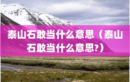 泰山石敢当什么意思（泰山石敢当什么意思?）