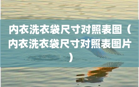 内衣洗衣袋尺寸对照表图（内衣洗衣袋尺寸对照表图片）