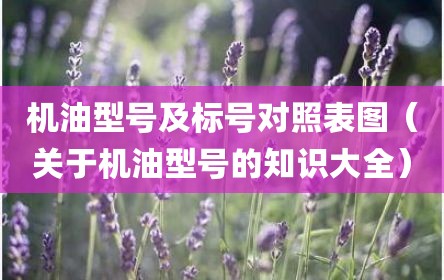 机油型号及标号对照表图（关于机油型号的知识大全）