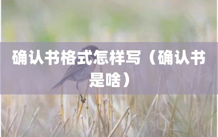 确认书格式怎样写（确认书是啥）