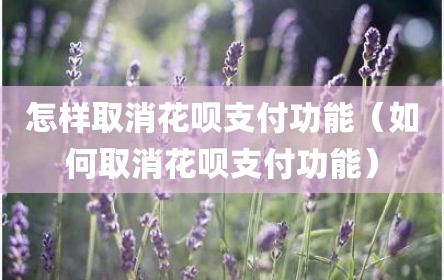 怎样取消花呗支付功能（如何取消花呗支付功能）