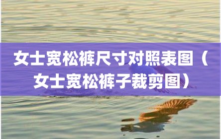 女士宽松裤尺寸对照表图（女士宽松裤子裁剪图）