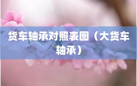 货车轴承对照表图（大货车轴承）