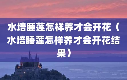 水培睡莲怎样养才会开花（水培睡莲怎样养才会开花结果）