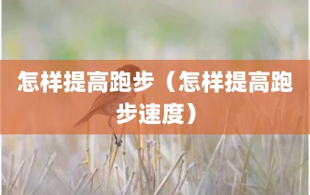 怎样提高跑步（怎样提高跑步速度）