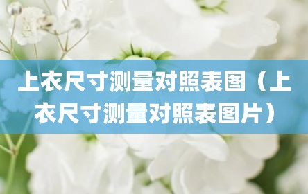 上衣尺寸测量对照表图（上衣尺寸测量对照表图片）