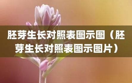 胚芽生长对照表图示图（胚芽生长对照表图示图片）