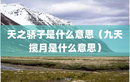 天之骄子是什么意思（九天揽月是什么意思）