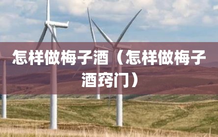 怎样做梅子酒（怎样做梅子酒窍门）
