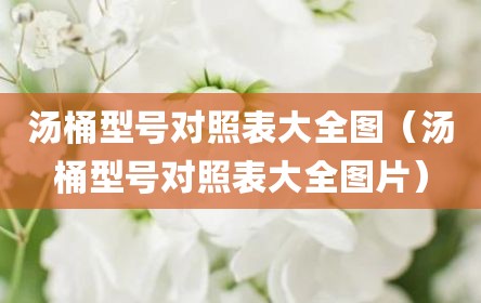 汤桶型号对照表大全图（汤桶型号对照表大全图片）