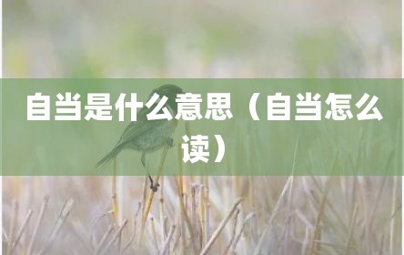 自当是什么意思（自当怎么读）